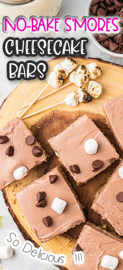 No Bake S Mores Cheesecake Bars Real Housemoms