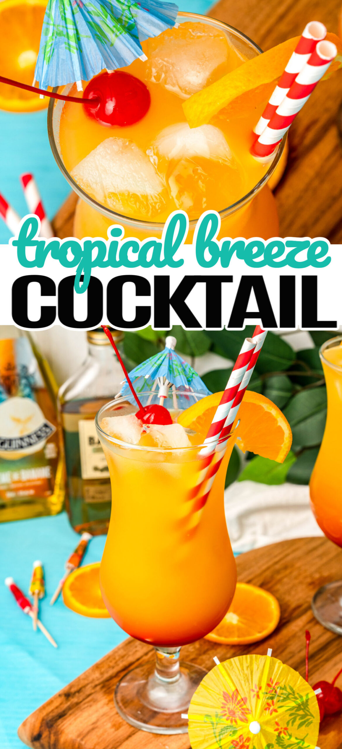 Tropical Breeze Cocktail Real Housemoms