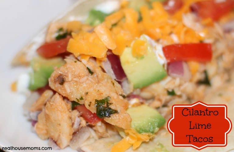 cilantro lime tacos close up