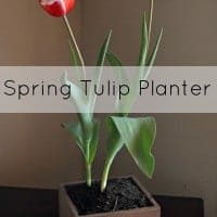 Spring Tulip Planter | Real Housemoms | #DIYplanter #woodenbox #agedwood