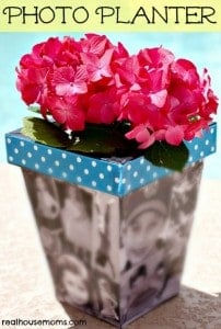 photo planter with flowers