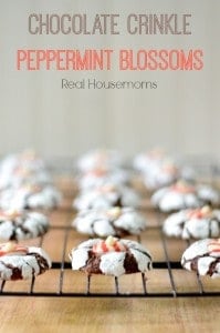 chocolate crinkle peppermint blossom cookies