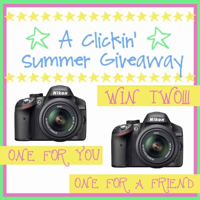 Nikon Giveaway photo shows two Nikon cameras
