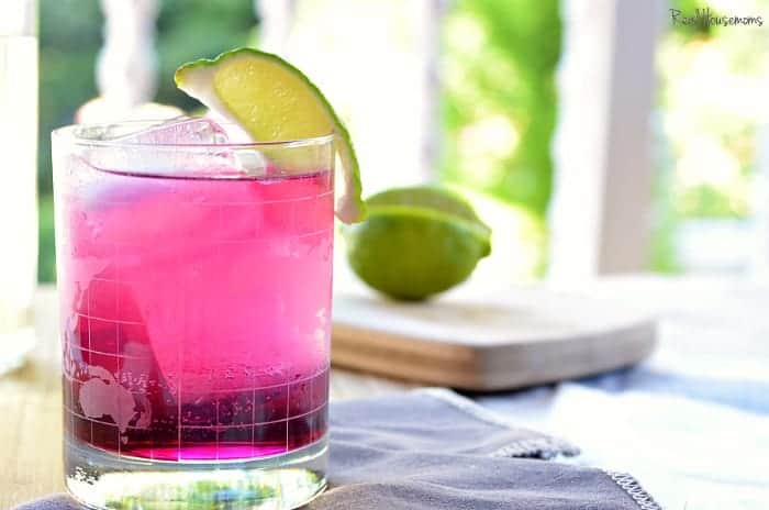 Prickly Pear Moscow Mule