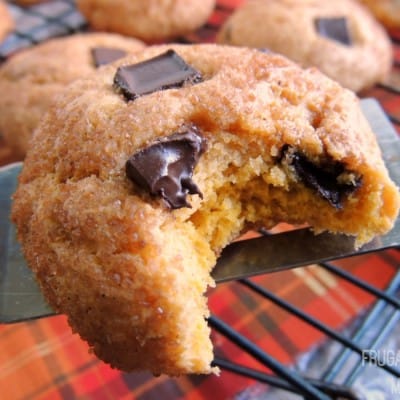 Pumpkin Dark Chocolate Chunk Snicker doodles