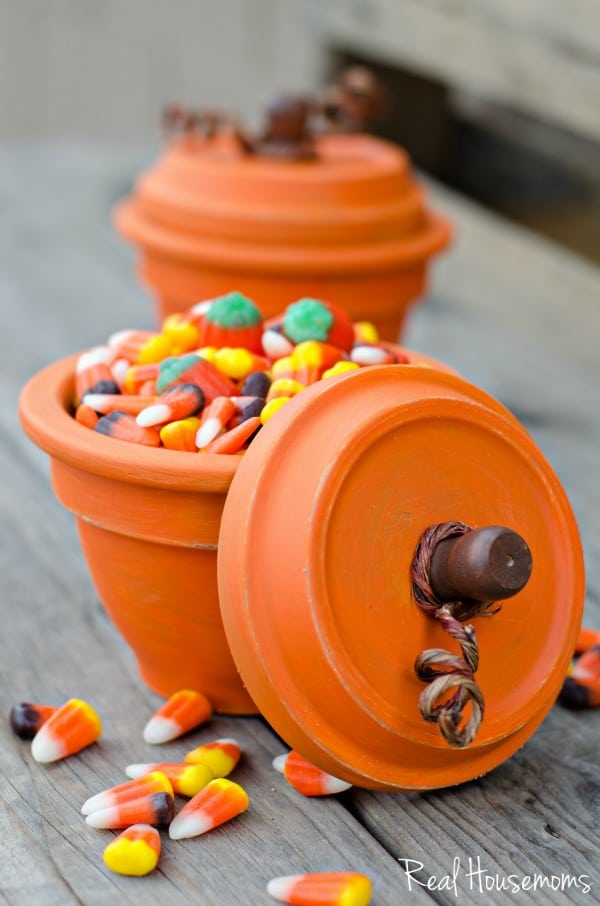 DIY Pumpkin Terracotta Pots | Real Housemoms