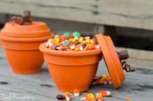 DIY Pumpkin Terracotta Pots spayed with Acrylic paint. Wooden knobs for the top