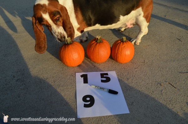 Fall Mailbox Decor with Pumpkin House Numbers | Real Housemoms