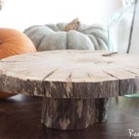 DIY Wood Slice Pedestal Cake Plate. With fall pumpkins in the background.