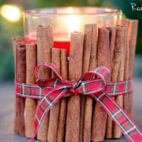 Cinnamon Stick Holiday Candle. Cinnomon sticks arranged to make candle holder. plaid christmas bow tied around candle holder. Red candle inside