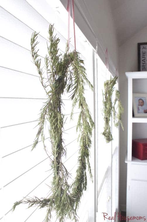 DIY Rosemary Wreaths | Real Housemoms