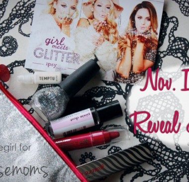 november ipsy bag reveal and review, photo shows bag with products and Ipsy catalog