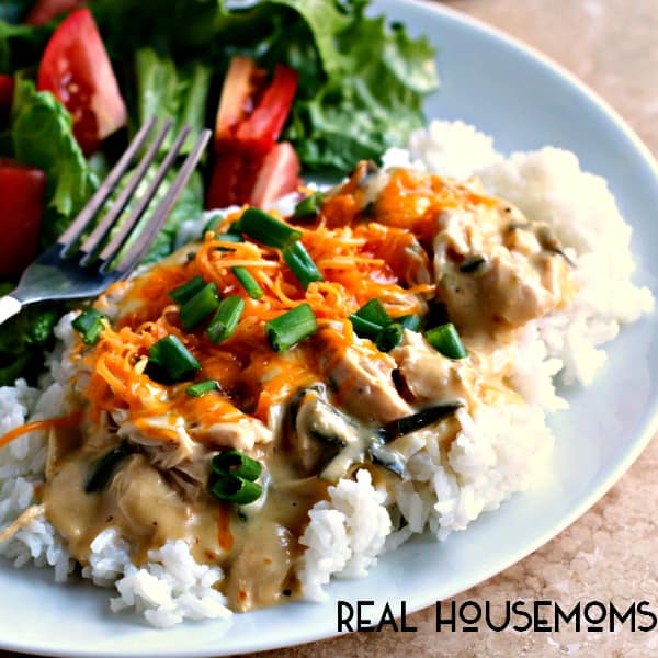 Slow Cooker Poblano Chicken | Real Housemoms