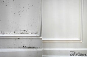 How to Remove mold in home wood paneling prevent mold from reoccuring. Photo of before and after white molded Paneling and paneling with no mold
