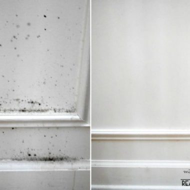 How to Remove mold in home wood paneling prevent mold from reoccuring. Photo of before and after white molded Paneling and paneling with no mold