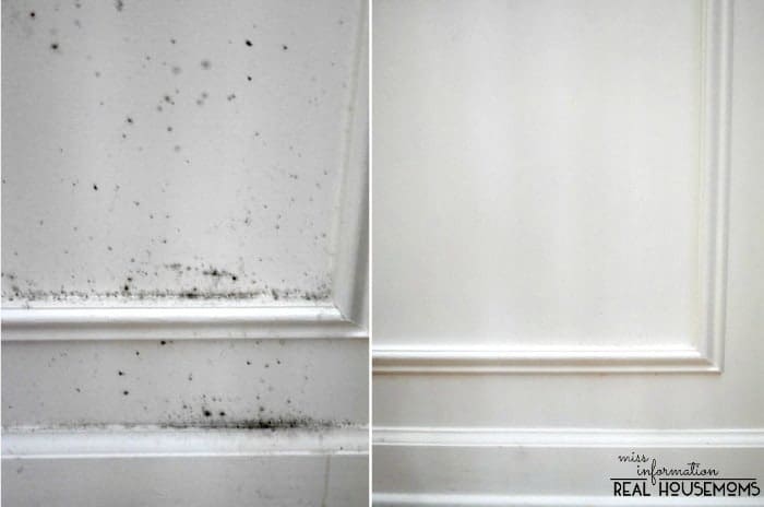 remove mold from your home and keep it from coming back