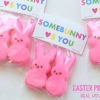 Easter Printable for easter goody bags. Printable reads "Somebunny (heart)'s you" bag has pink easter bunny peeps inside printable stabled sealed bag