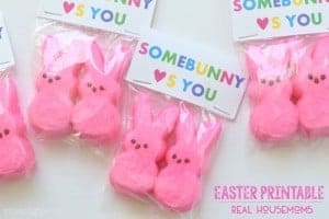 Easter Printable for easter goody bags. Printable reads "Somebunny (heart)'s you" bag has pink easter bunny peeps inside printable stabled sealed bag
