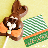 Easter Gift tag, Some bunny special, free printable easter gift tag. Tag is attached to chocolate bunny on a stick