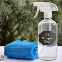 Make Your own All Purpose Cleaning Spray it's just 3 ingredients , safer and will save you money!