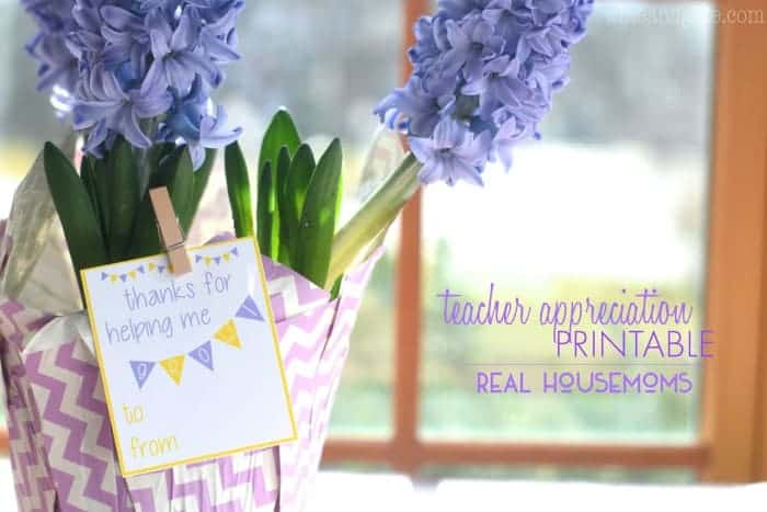 Teacher Appreciation Printable