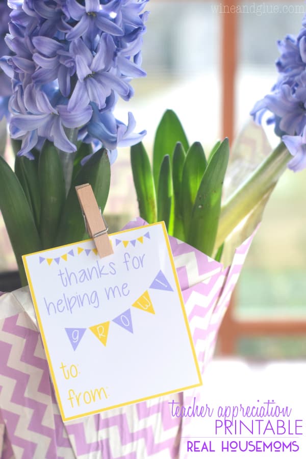 This Teacher Appreciation Printable is super cute, and super easy. Attach it to a potted plant, some seed packs or a bouquet of flowers and done!