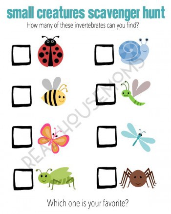 Bug Scavenger Hunt ⋆ Real Housemoms