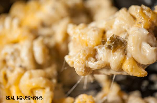 This rich, spicy and creamy Green Chile Mac n Cheese made with roasted Hatch green chile and a freshly shredded cheese sauce is the ultimate comfort food.
