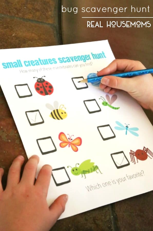 Need something to fight those dreaded "I'm bored" words from the kids? Try a bug scavenger hunt!!