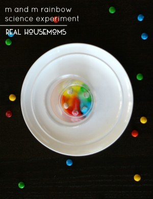 M and M Rainbow Science Experiment ⋆ Real Housemoms
