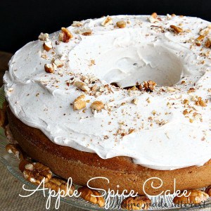 Apple-Spice-Cake_linky-300x300