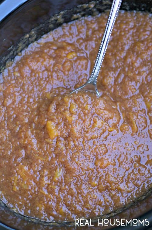 Slow Cooker Nectarine Applesauce that is sweetened with apple juice instead of sugar. An easy and healthy treat!