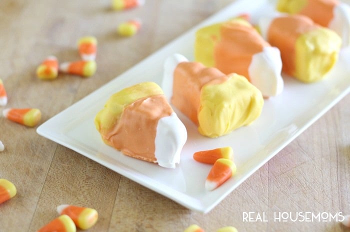 These candy corn cake bites are the perfect party treat for Halloween! Everyone'll love these bite size treats that look like their favorite candy!