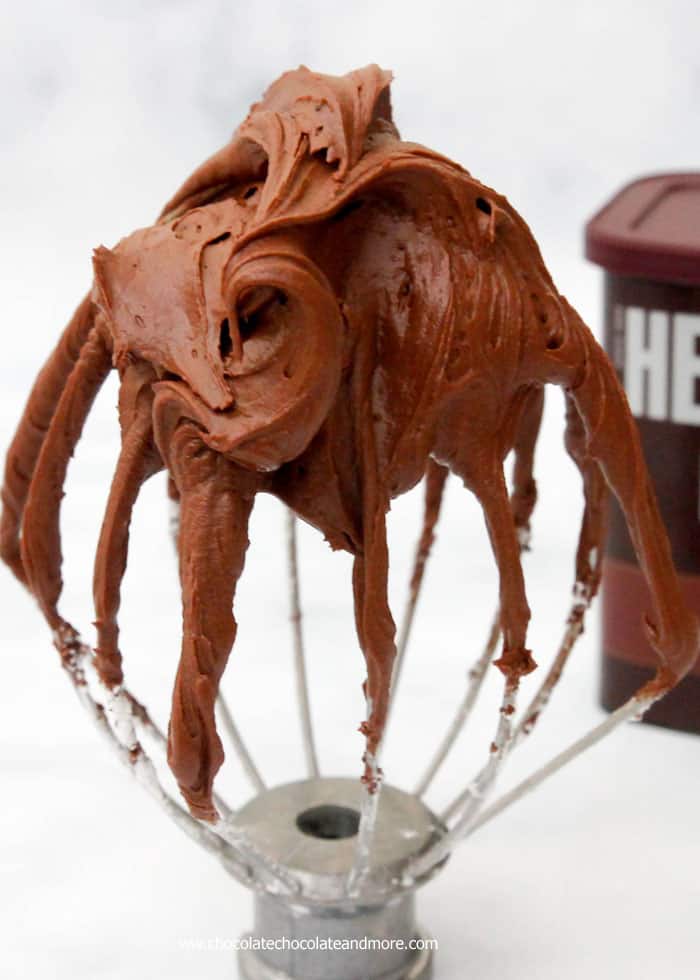 Chocolate-Fudge-Frosting-Hersheys-tall-73cc