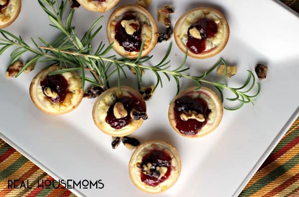 CRANBERRY GOAT CHEESE BITES are perfect little appetizers for your Thanksgiving spread!