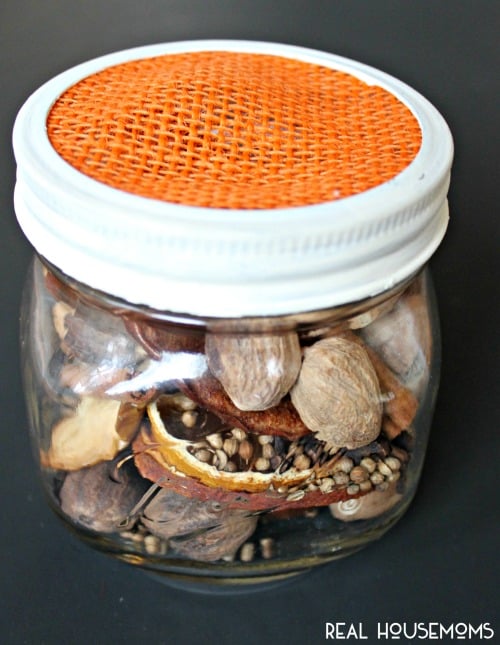 Show those special people in your life just how much you appreciate them with some DIY FALL POTPOURRI!