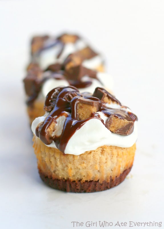 Reese's Peanut Butter Mini Cheesecakes - The Girl Who Ate Everything