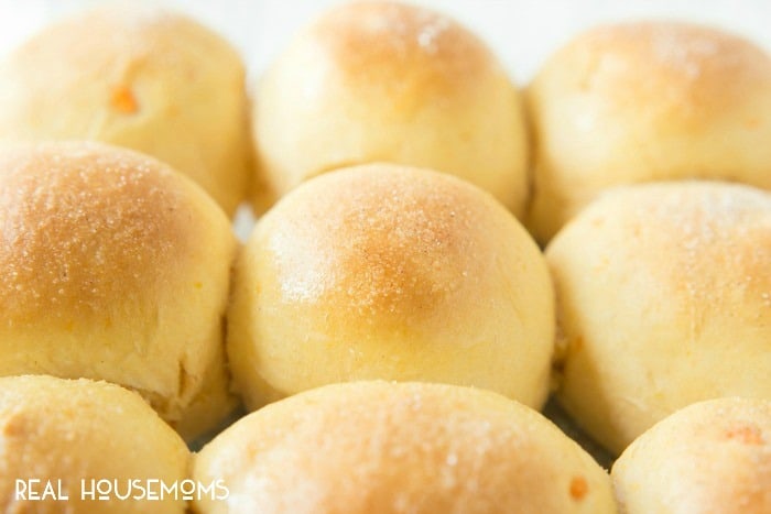 These SWEET POTATO ROLLS are the perfect roll for Thanksgiving and to use leftover sweet potatoes!