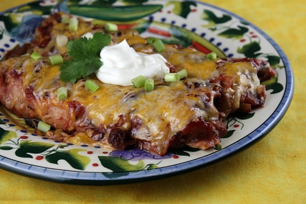 Cranberry- Turkey Enchiladas - Recipe Girl