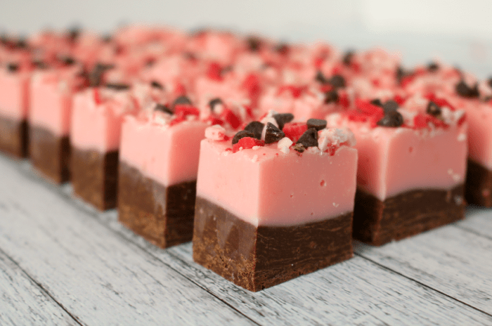 Perfect for your Christmas cookie and candy trays, this delicious Peppermint Crunch Fudge is a must-have this holiday season! Topped with mini-chocolate chips and peppermint crunch, this double layer fudge is easy to make and super-delicious!