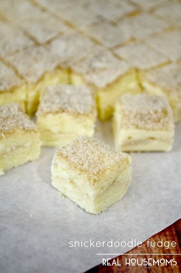 Turn your favorite cookie into a decedant bite with just a few ingredients and this SNICKERDOODLE FUDGE recipe!