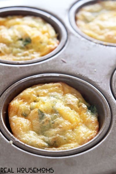 Spinach, Egg, and Cheese Breakfast Bites ⋆ Real Housemoms