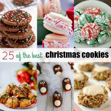 When the weather gets cold it's a sign to me that it's time to bake! This year, I'm making 25 of the Best Christmas Cookies to stuff our cookie plates and spread some cheer!