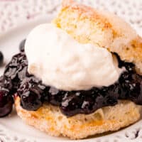 square image of air fryer blueberry shortcakes on a plate
