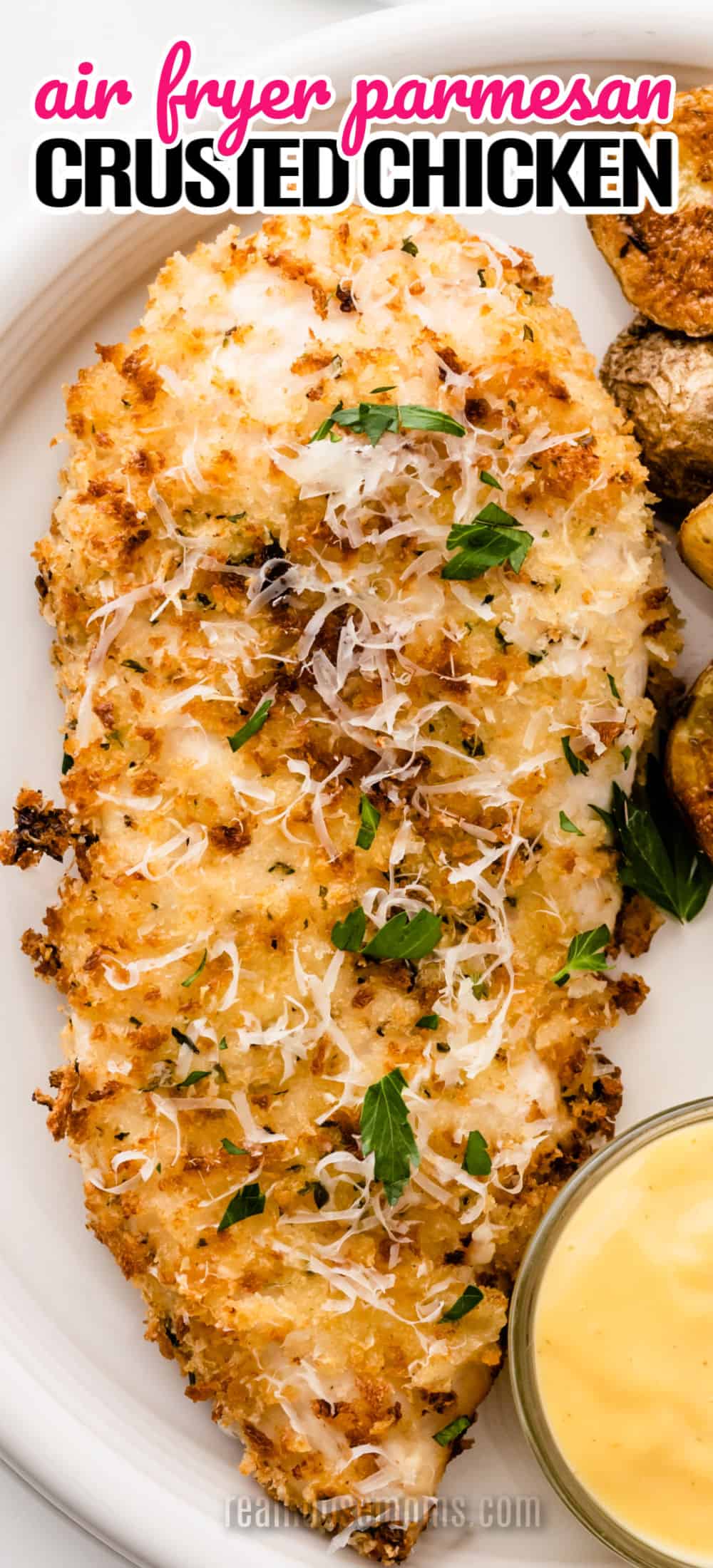 Air Fryer Parmesan Crusted Chicken ⋆ Real Housemoms