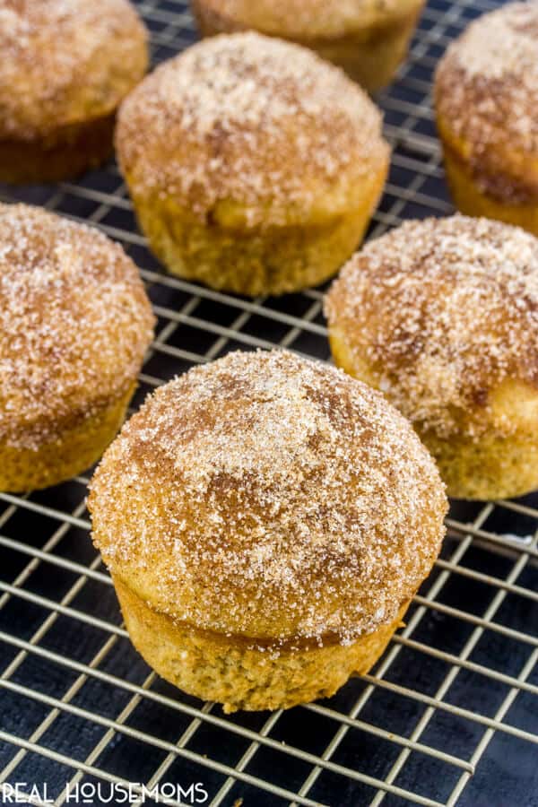 Apple Cinnamon Muffins baked, and cooling on a wire rack