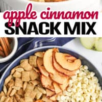 apple cinnamon snack mix
