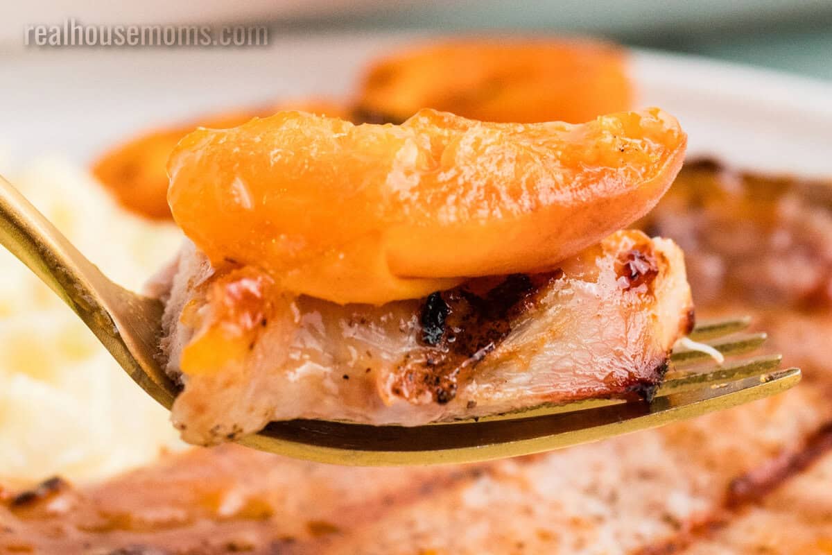 bite of grilled pork chop and apricot on a fork over the plate