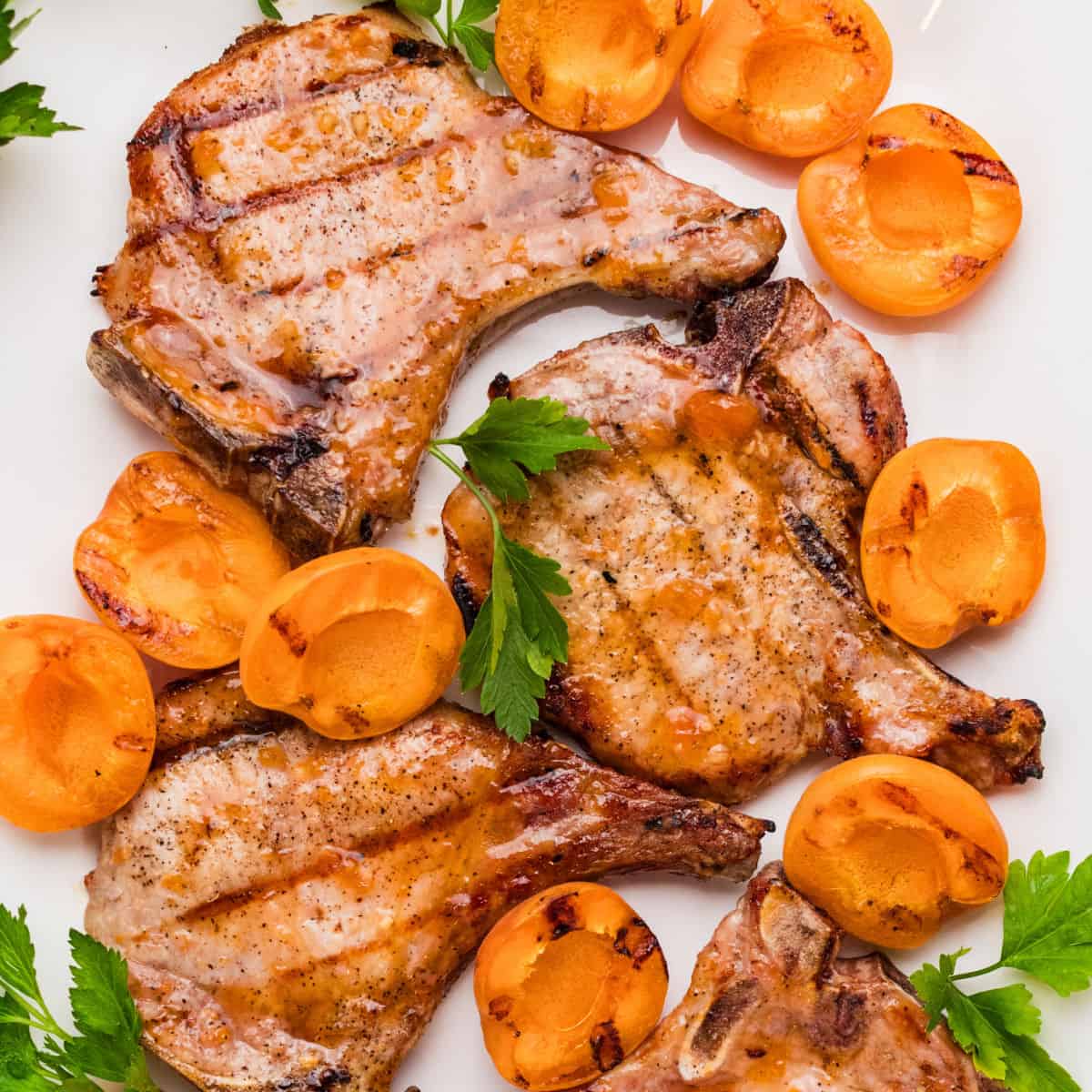 square image of apricot grilled pork chops on a serving platter with grilled apricot halves and parsley sprigs
