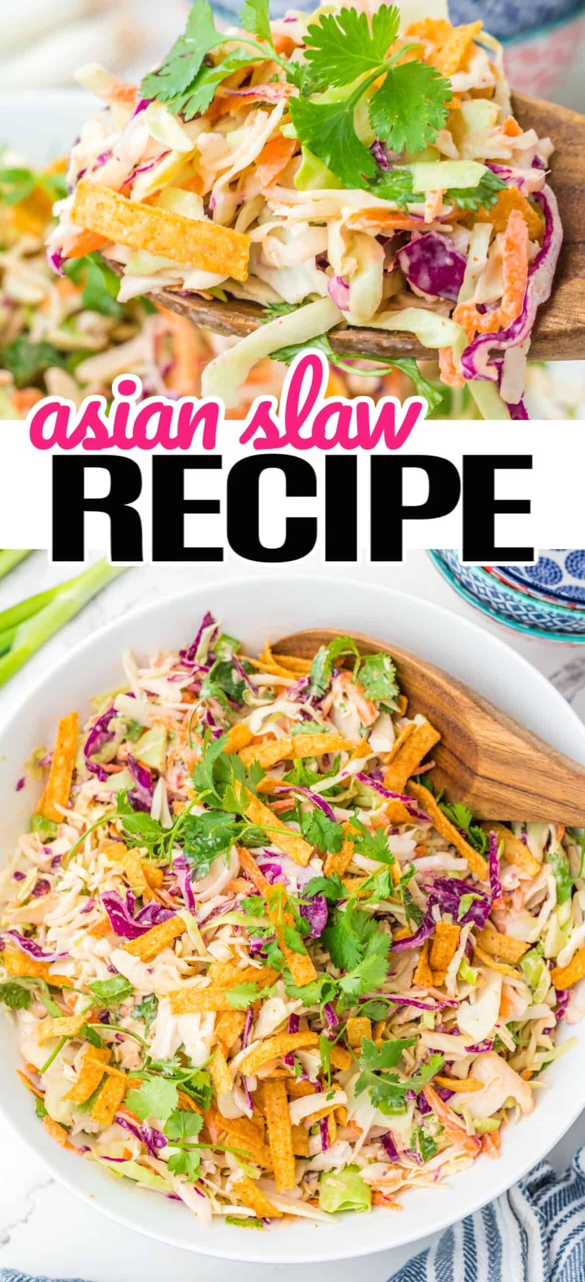Asian Slaw Recipe - Real Housemoms